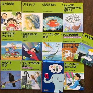 てのひら文庫　４年　ぶんけい(絵本/児童書)