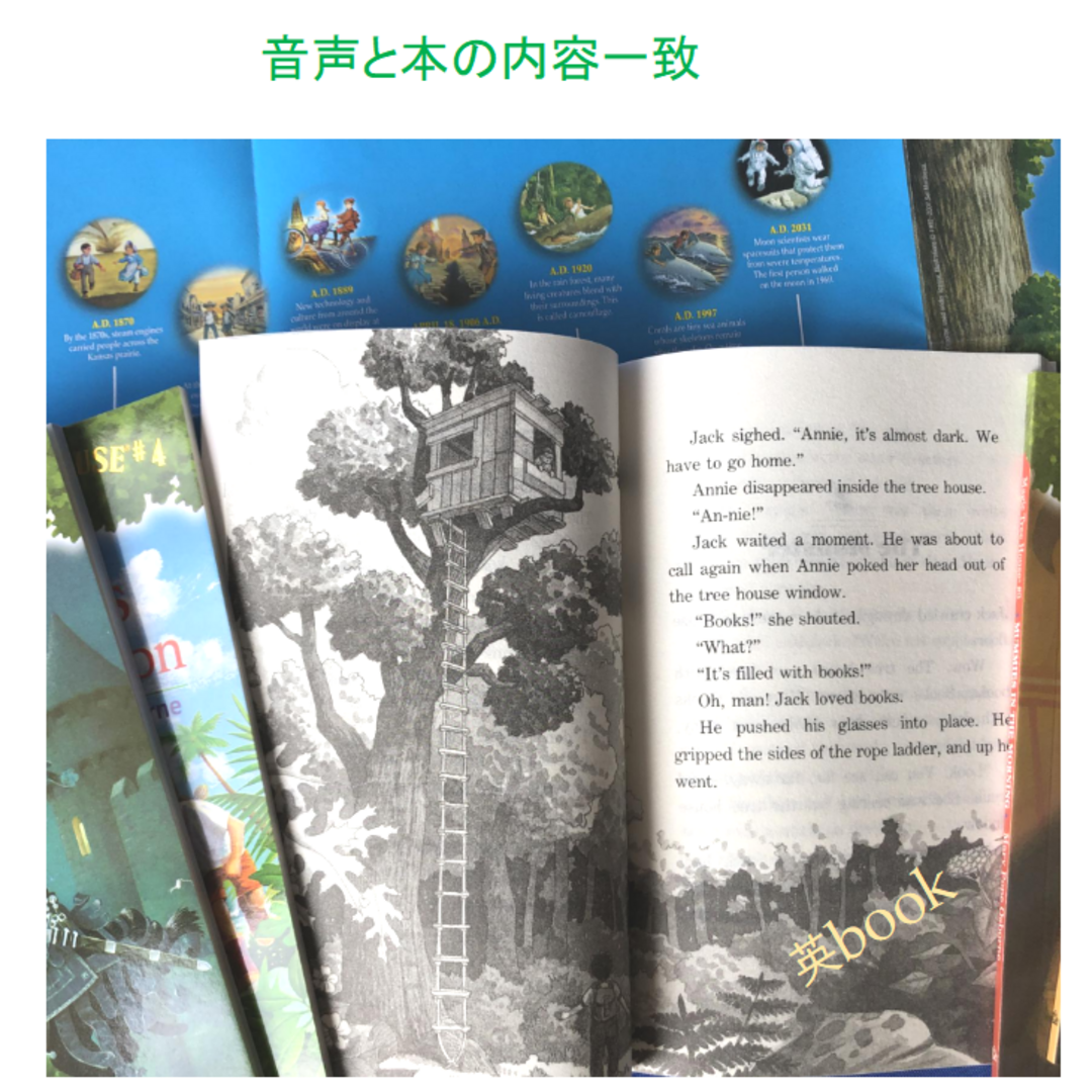 Magic Tree House シリーズ1 絵本28冊 箱付 全冊音源付 Magic Tree House シリーズ1 絵本28冊 箱付 全冊音源付