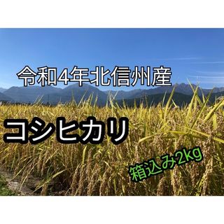 令和4年長野産コシヒカリ　ゆうパケットポスト箱込みで2kg(米/穀物)