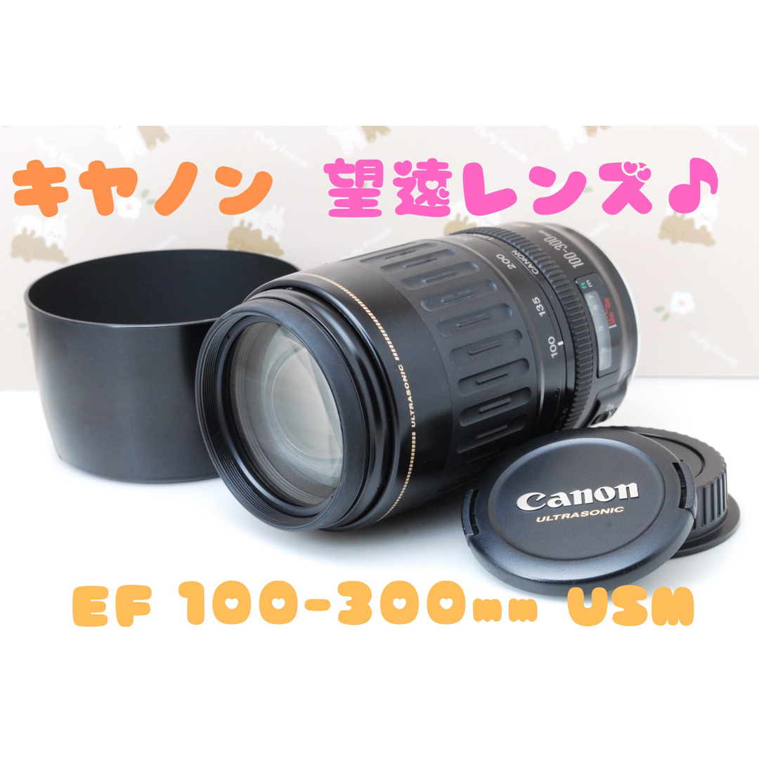 Canon - ❤️望遠レンズ❤️Canon EF 100-300mm F4.5-5.6 USMの通販 by