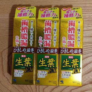 コバヤシセイヤク(小林製薬)の生葉EX 薬用ハミガキ 100g×3個新品未開封(歯ブラシ/歯みがき用品)