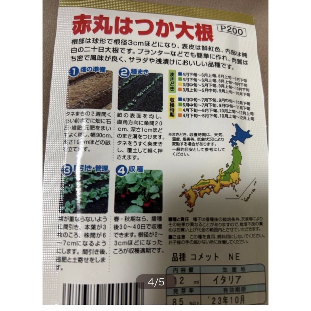 野菜の種　小分け 食品/飲料/酒の食品(野菜)の商品写真