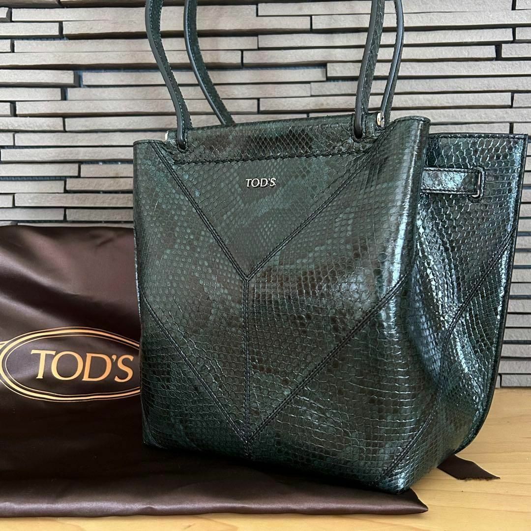 ✨極美品✨  TOD's  ゴンミーニ　ショルダーバッグ  レザー　保存袋