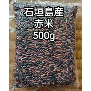 【無農薬】石垣島産 赤米 500g 令和5年産(米/穀物)