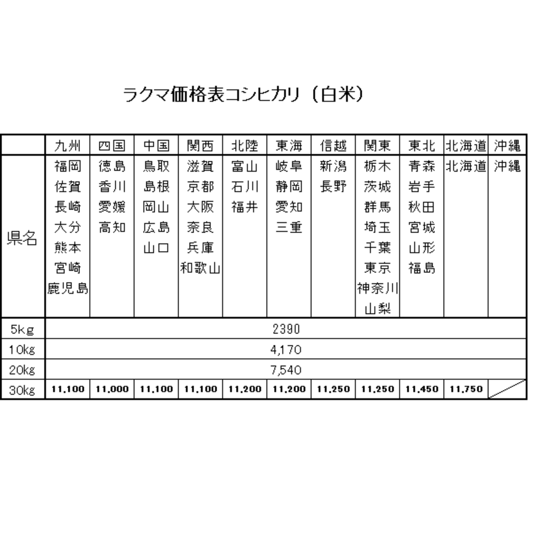 白角　シロカク　1920ml✖️2セット＋知多のミニボトルセット！