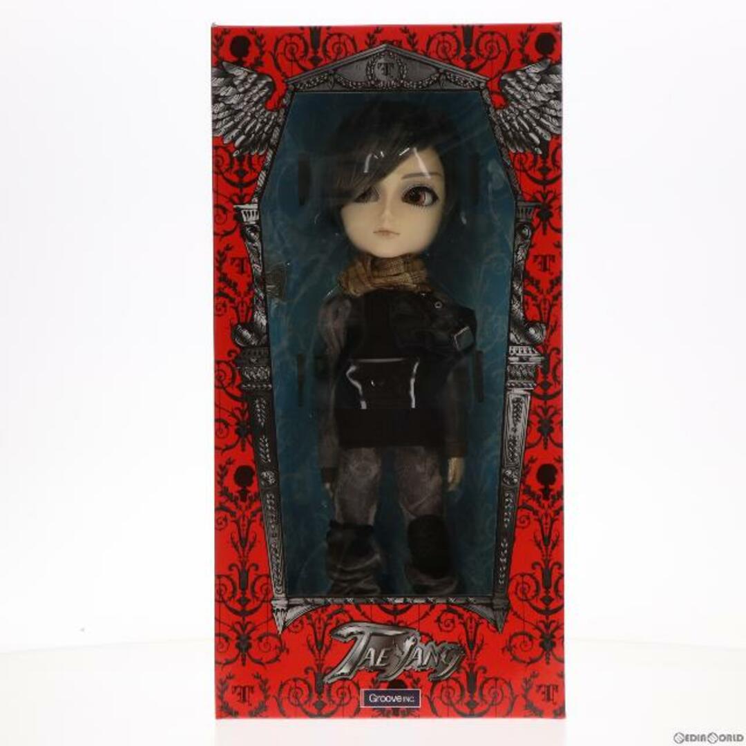TAEYANG(テヤン) Wayne(ウェイン) 完成品 ドール(T-208) Groove