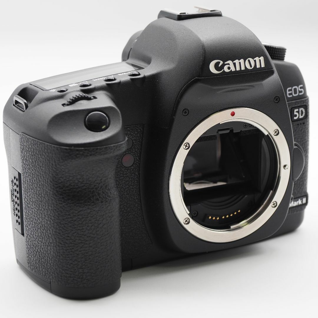 Canon デジタル一眼レフカメラ EOS 5D MarkII #2627