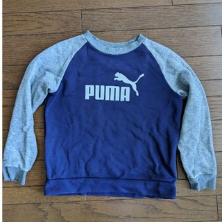 プーマ(PUMA)のPUMA トレーナー 140cm(その他)