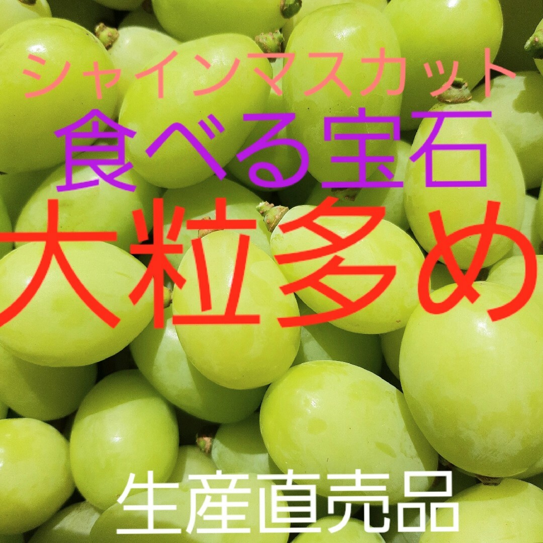 シャインマスカット大粒多めの、粒限定品になります。お徳用の5キロ入り