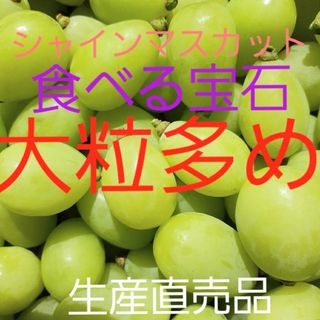 シャインマスカット大粒多めの、粒限定品になります。お徳用の5キロ