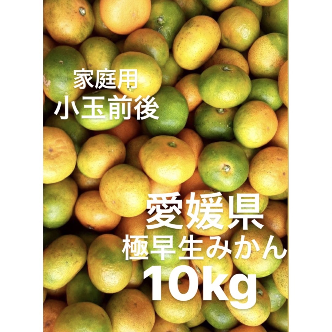 愛媛県産 極早生みかん 柑橘 傷スレ有り 家庭用 10kgの通販 by sari's