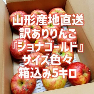 お買い得！訳ありりんご『ジョナゴールド』箱込み5キロ 山形産地直送 除草剤不使用(フルーツ)