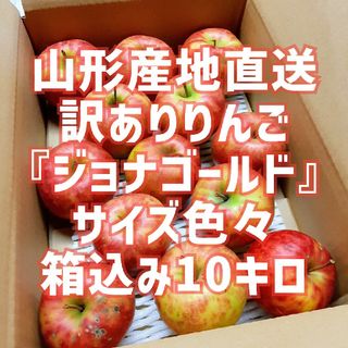 お買い得！訳ありりんご『ジョナゴールド』箱込10キロ 山形産地直送 除草剤不使用(フルーツ)