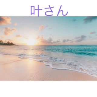 叶さん(各種パーツ)