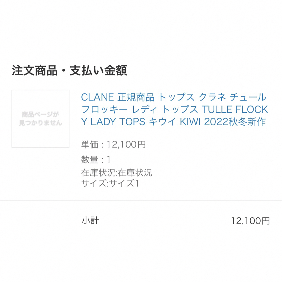 CLANE(クラネ)のCLANE（クラネ）/ TULLE FLOCKY LADY TOPS レディースのトップス(カットソー(長袖/七分))の商品写真