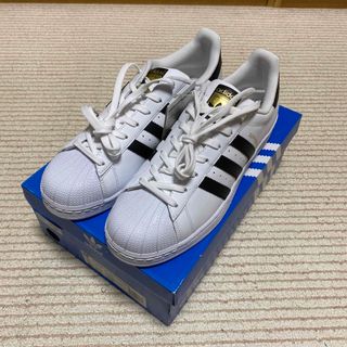 アディダス(adidas)のadidas Superstar Foundation C77124(スニーカー)