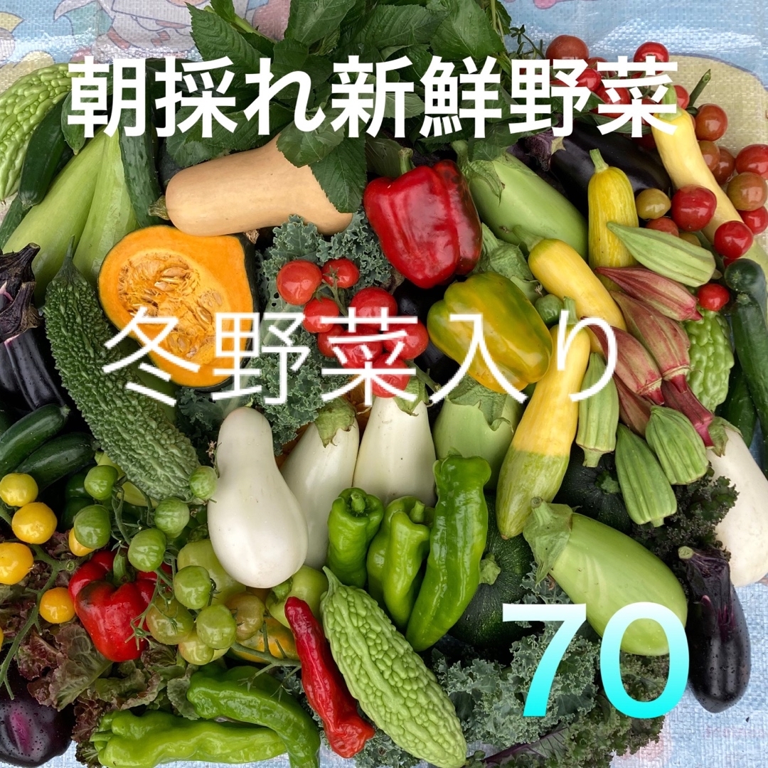 採れたて新鮮野菜詰め合わせ　70サイズ 食品/飲料/酒の食品(野菜)の商品写真