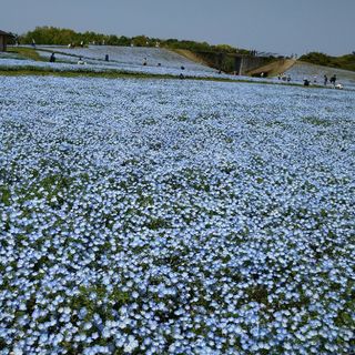 mh様専用(トリートメント)