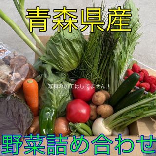 青森県産　野菜詰め合わせ　80サイズ (野菜)