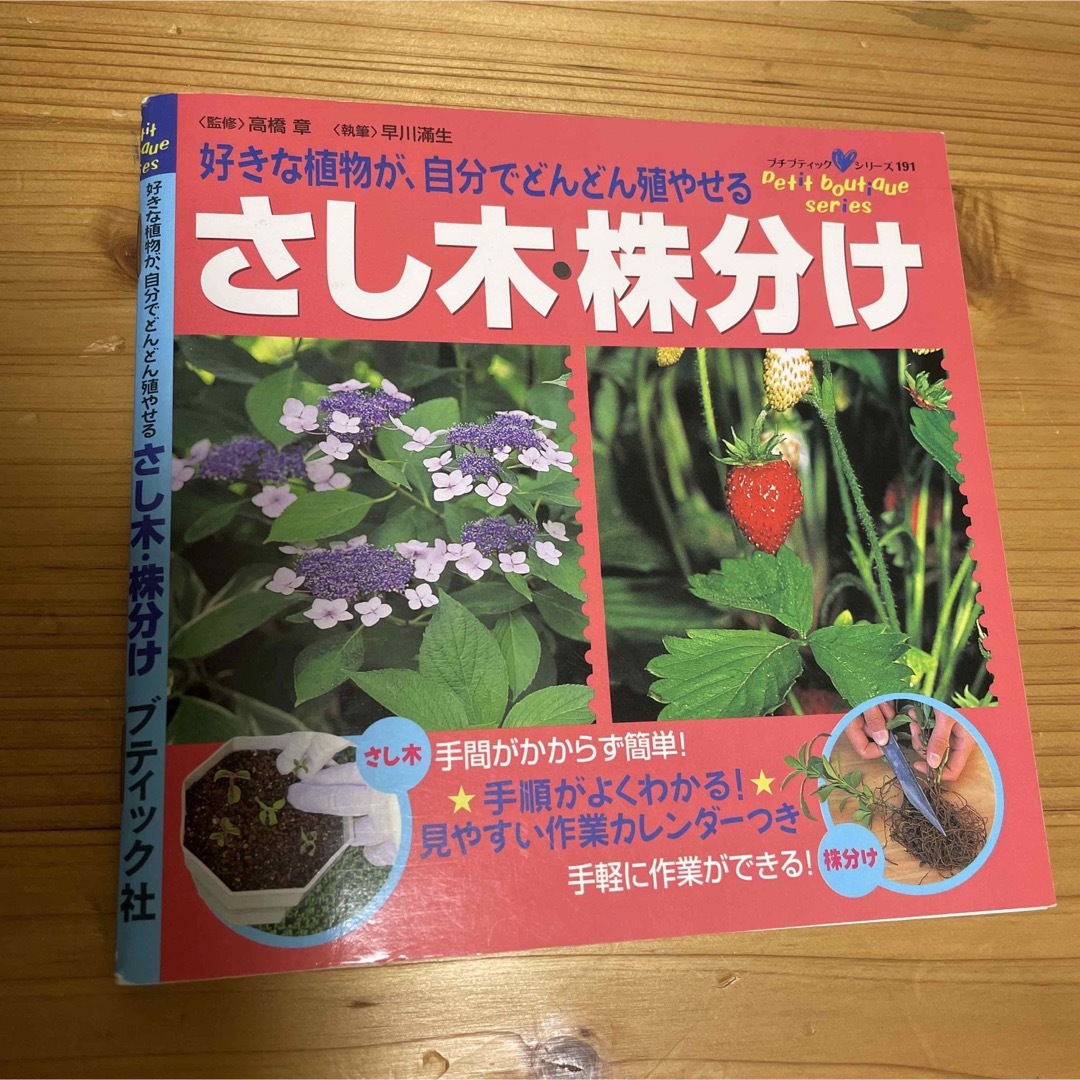 プチプティックシリーズ本2冊セット さし木株分け 牛乳パックで作るリサイクル小物 エンタメ/ホビーの本(その他)の商品写真