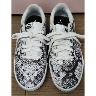 プーマ パイソン スニーカー(レディース)の通販 16点 | PUMAの