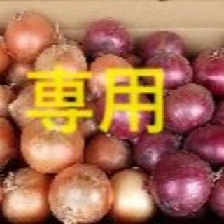 あゆ 様 専用 北海道産 玉ねぎ M 20 kg /さらさらレッドM10kg(野菜)