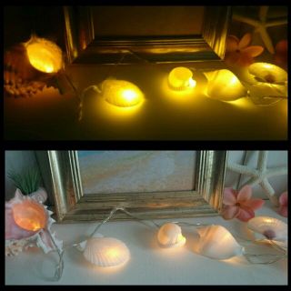 【再販】～ 癒しの灯り shell lamp ～(その他)