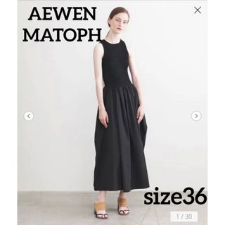 イウエンマトフ(AEWEN MATOPH)のAEWEN MATOPH イウエンマトフ ニット コンビ ワンピース(ロングワンピース/マキシワンピース)