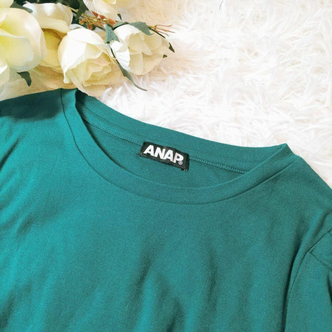 ANAP(アナップ)のアナップ／ANAP／Ｆ／袖シャーリング五分丈　スタンダードシンプルカットソー レディースのトップス(Tシャツ(半袖/袖なし))の商品写真