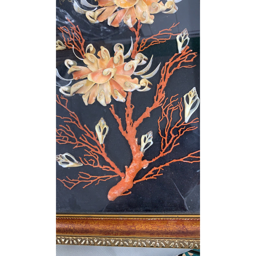 希少品◇本珊瑚 赤珊瑚 貝殻壁掛け サンゴ 骨董品 唐物古玩 希少品◇本珊瑚 赤珊瑚 貝殻壁掛け サンゴ 骨董品 唐物古玩