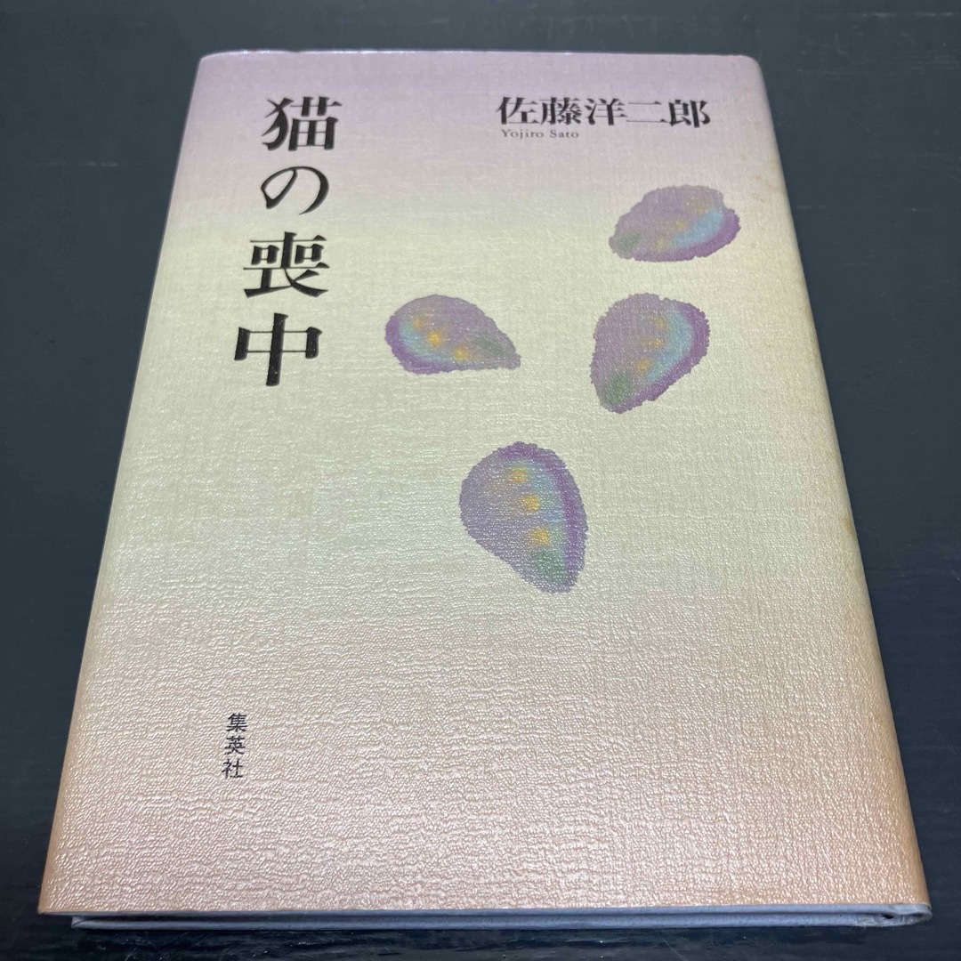 猫の喪中 佐藤洋二郎 ハードカバー 初版本 小説