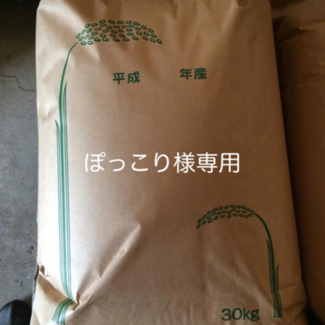 ぽっこり様専用 新米無農薬純こしひかり30㎏ 玄米 ぽっこり様専用 新米無農薬純こしひかり30㎏ 玄米