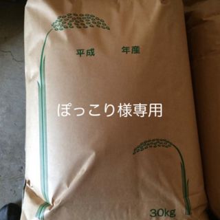 ぽっこり様専用　新米無農薬純こしひかり30㎏ 玄米(米/穀物)