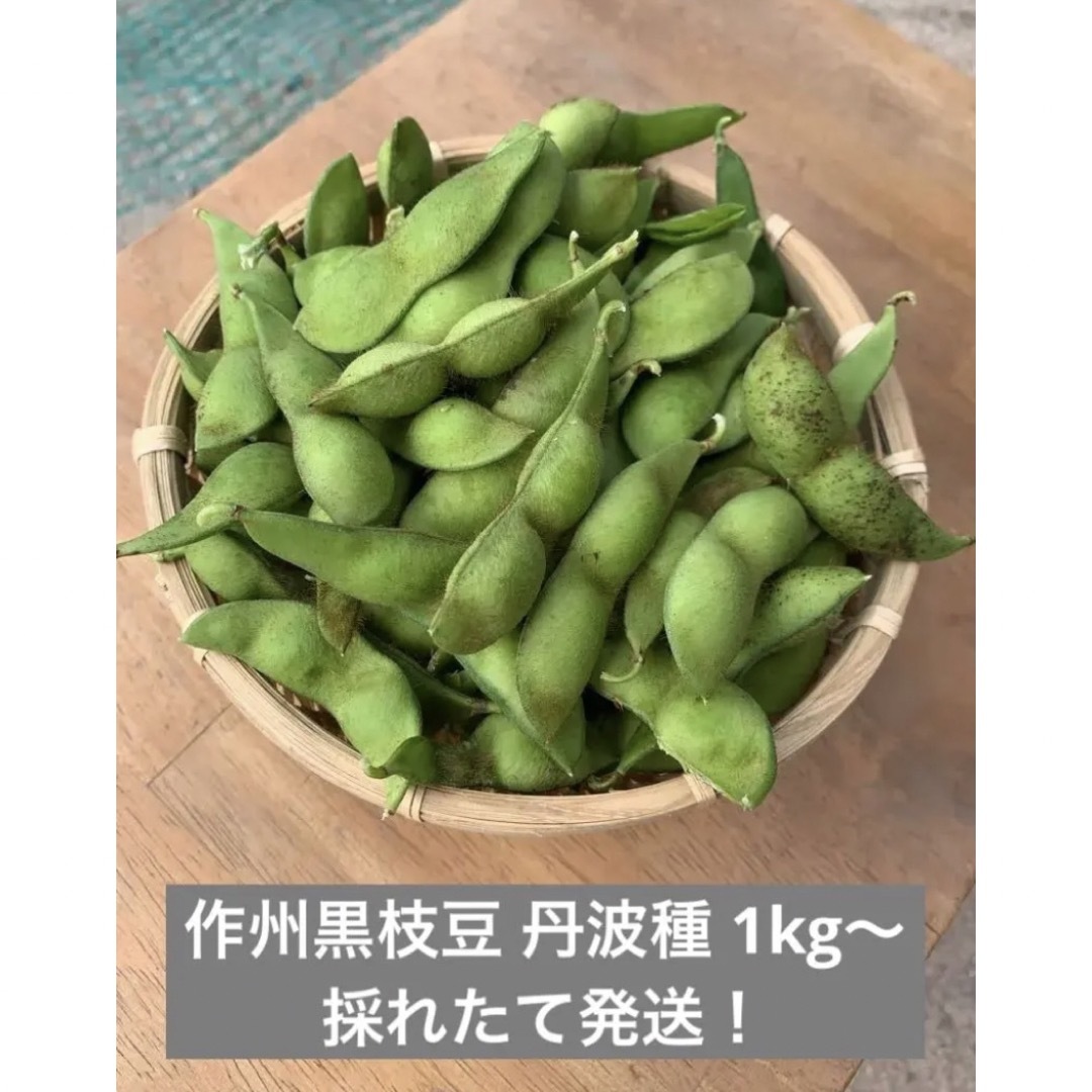 作州黒枝豆 丹波種 1kg 食品/飲料/酒の食品(野菜)の商品写真