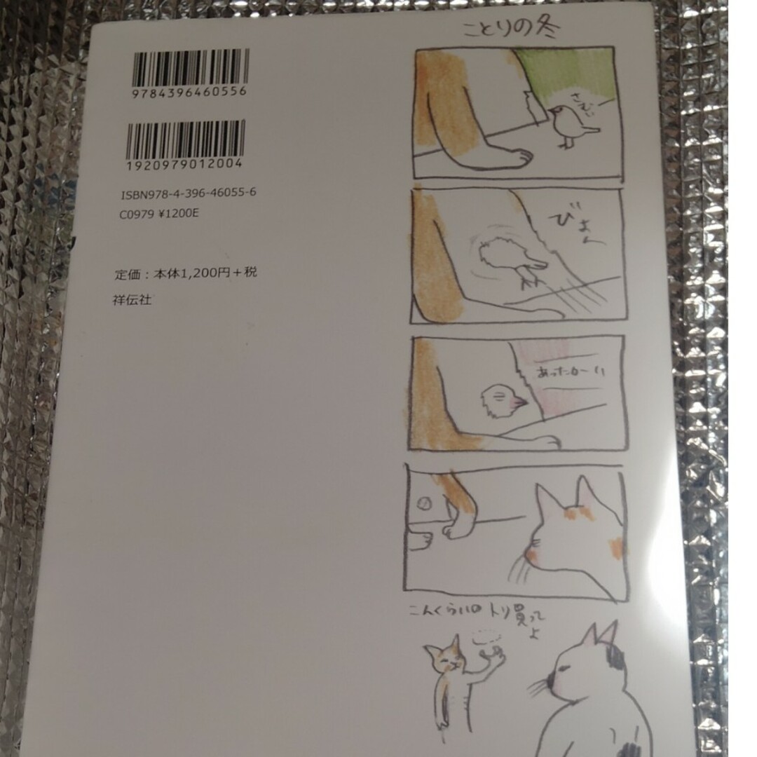 ボリス絵日記 エンタメ/ホビーの漫画(その他)の商品写真