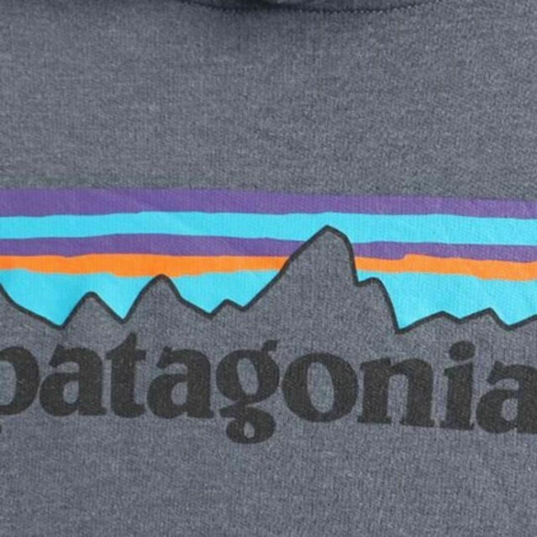 patagonia - パタゴニア フィッツロイ プリント スウェット フード
