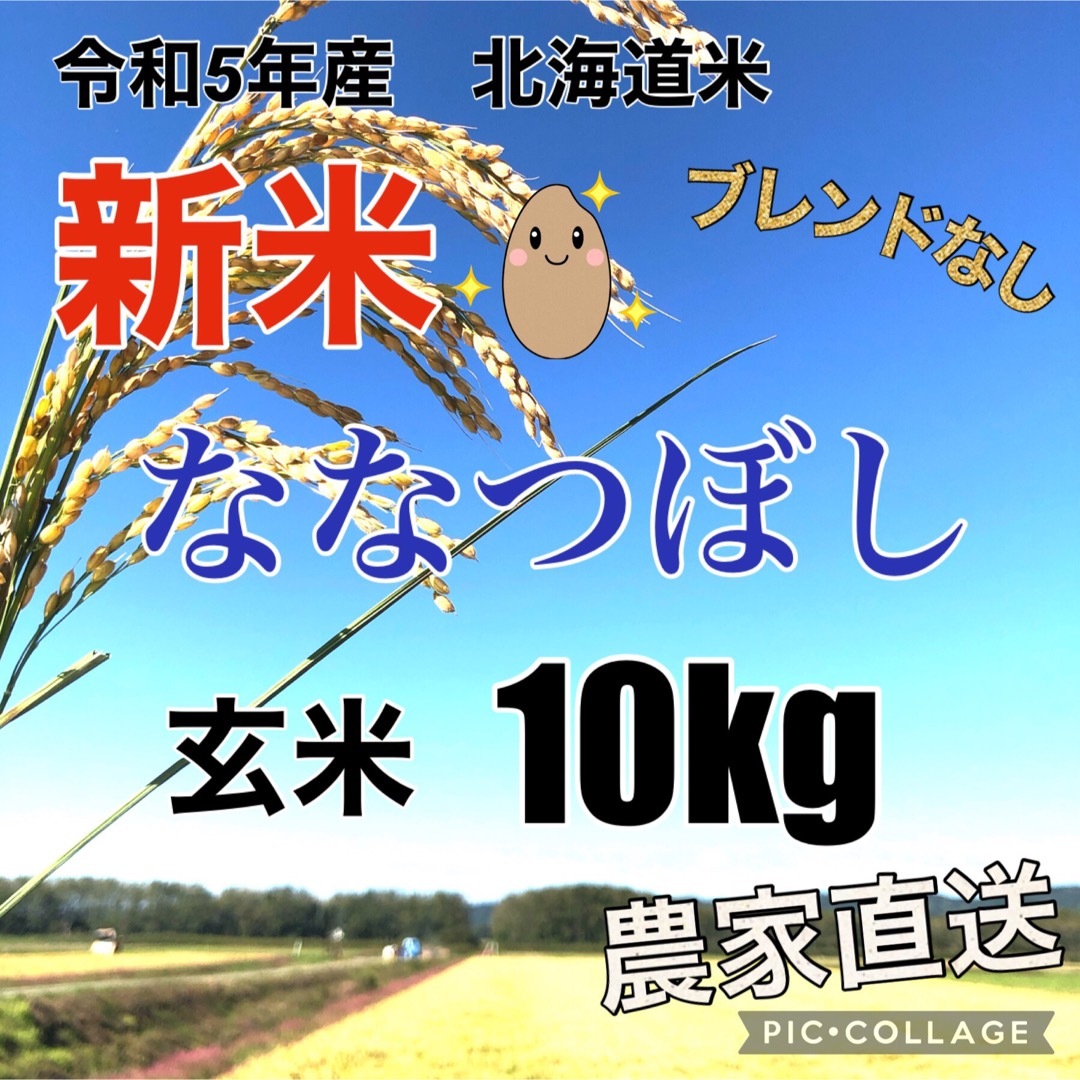 玄米10kg ななつぼし