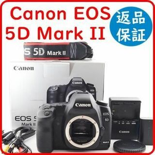 キヤノン(Canon)の《ほぼ新品》キヤノン Canon EOS 5D Mark II 　S数5576回(デジタル一眼)