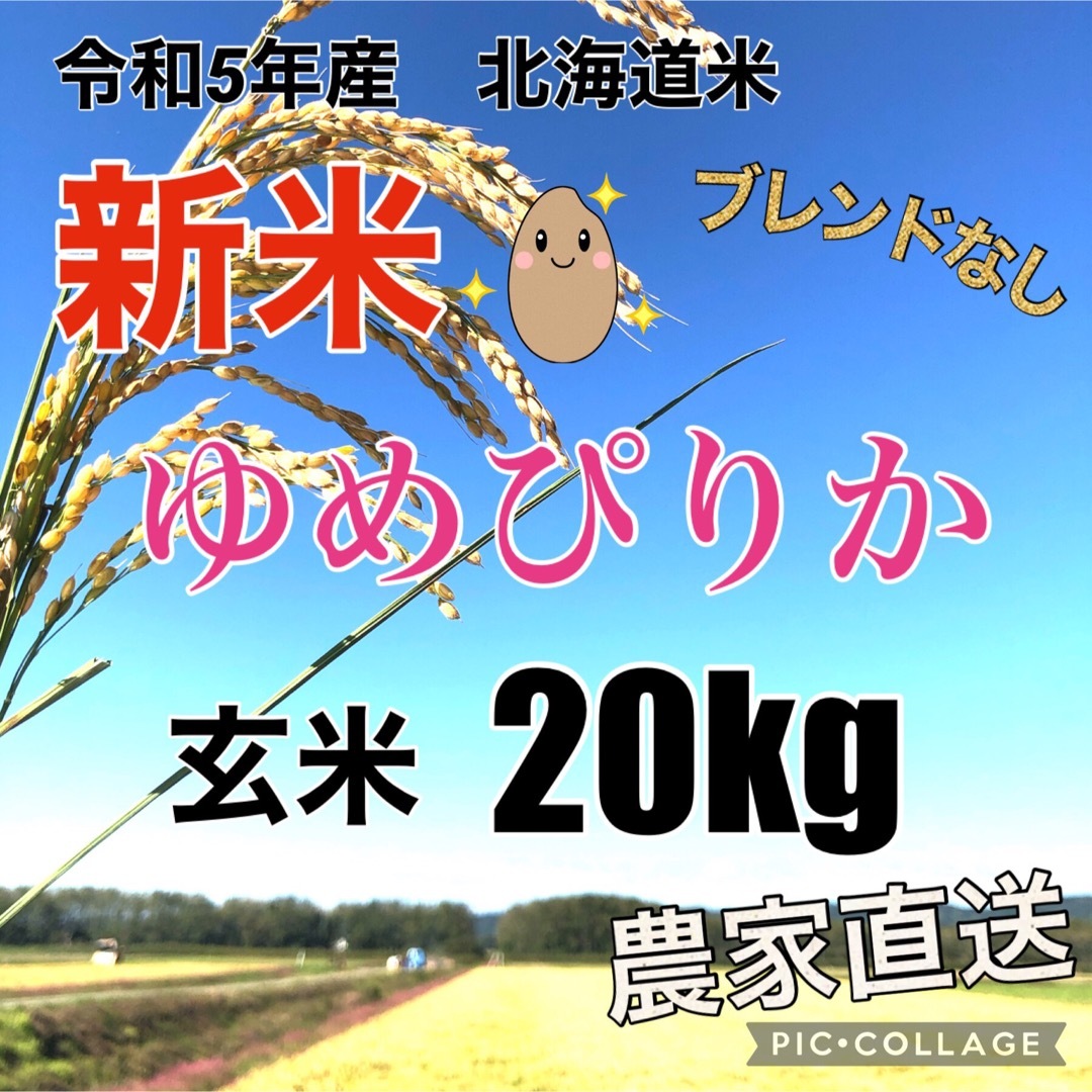 玄米ゆめぴりか　20kg