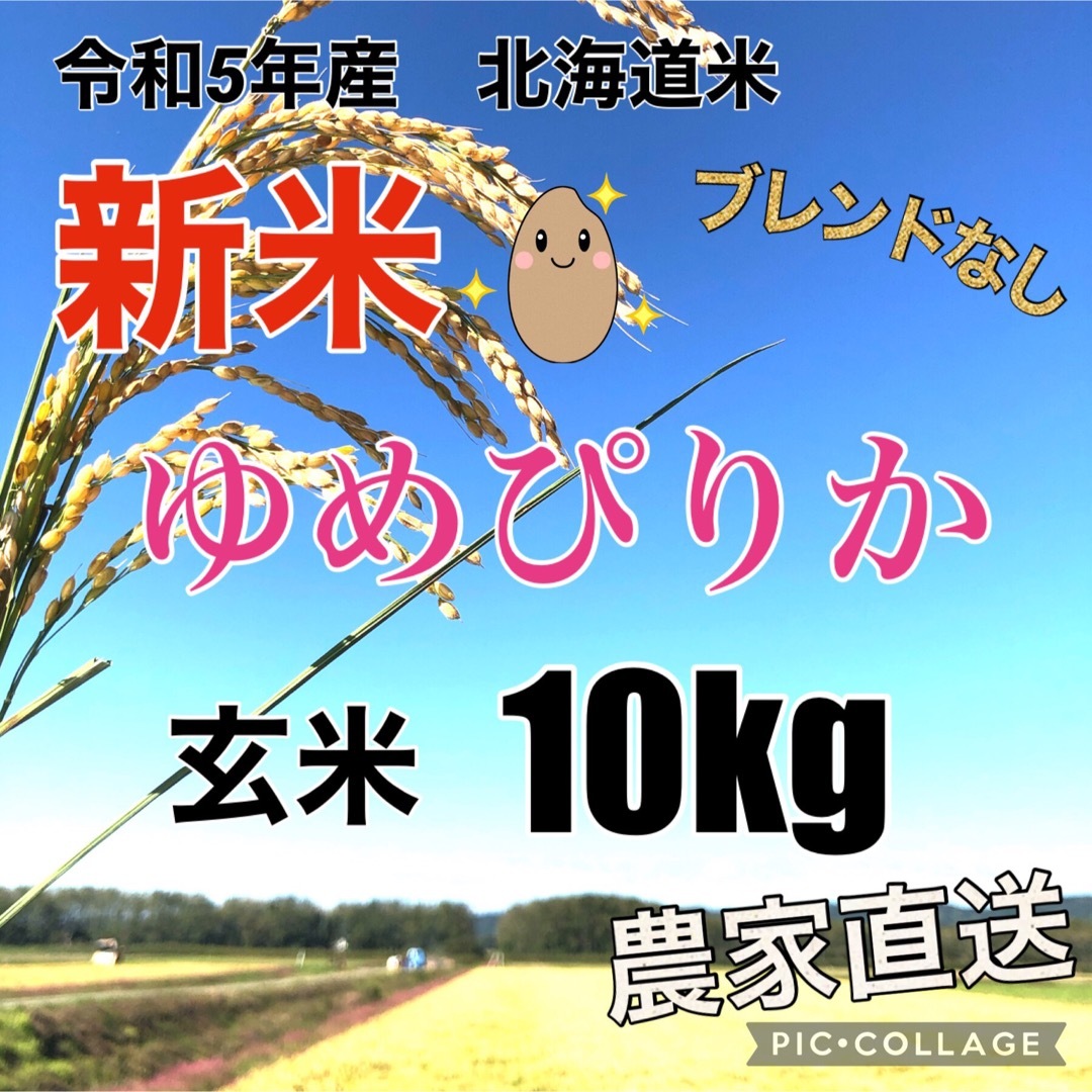 10kg　玄米ゆめぴりか　米/穀物