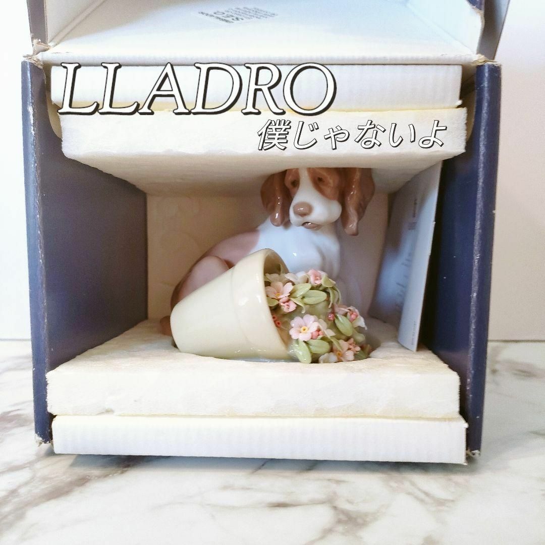 美品】リヤドロ LLADRO 「僕じゃないよ」 絶版品 犬 DOG 陶器 人形-