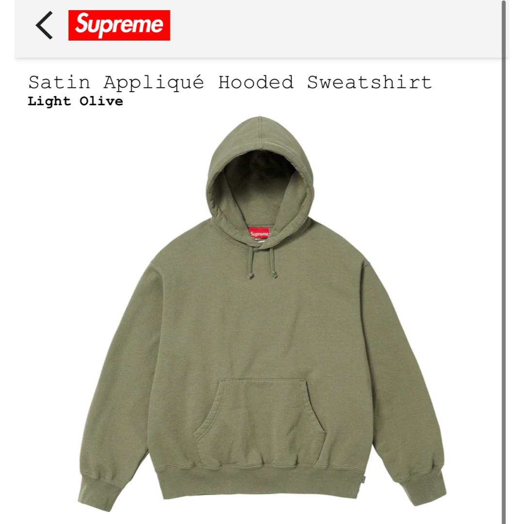 Supreme(シュプリーム)のSatin Appliqué Hooded Sweatshirt  メンズのトップス(スウェット)の商品写真