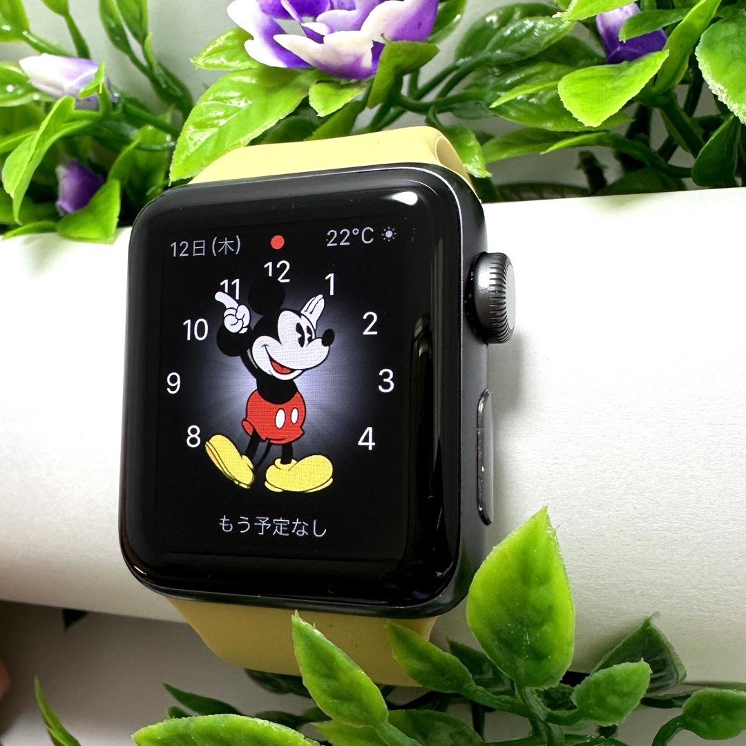 Apple Watch - Apple Watch 3 GPS 38mm スペースグレイアルミニウム