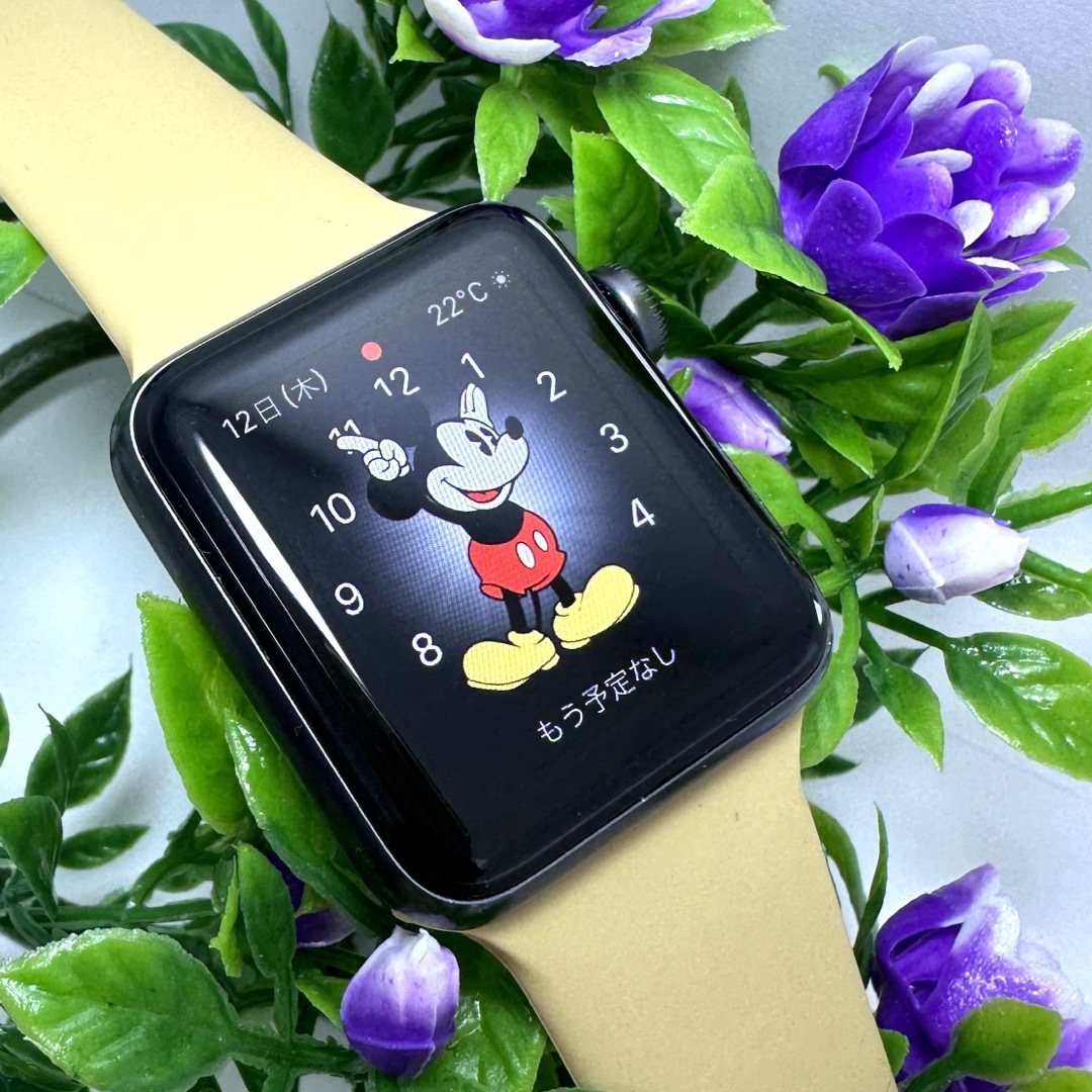 美品】Apple Watch series3 GPS【フルカバーおまけ】-