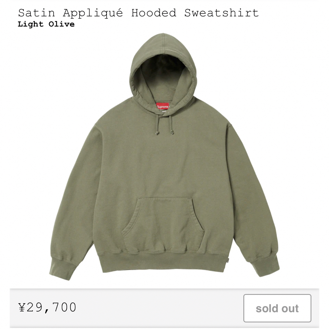 Supreme(シュプリーム)のSupreme Satin Applique Hooded Sweatshirt メンズのトップス(パーカー)の商品写真