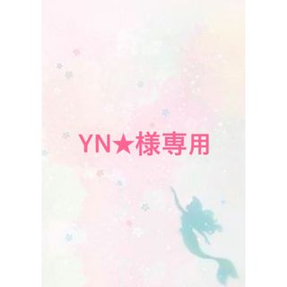 YN★様専用(その他)