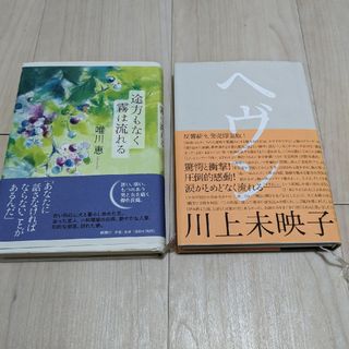 小説まとめ売り　2冊(文学/小説)