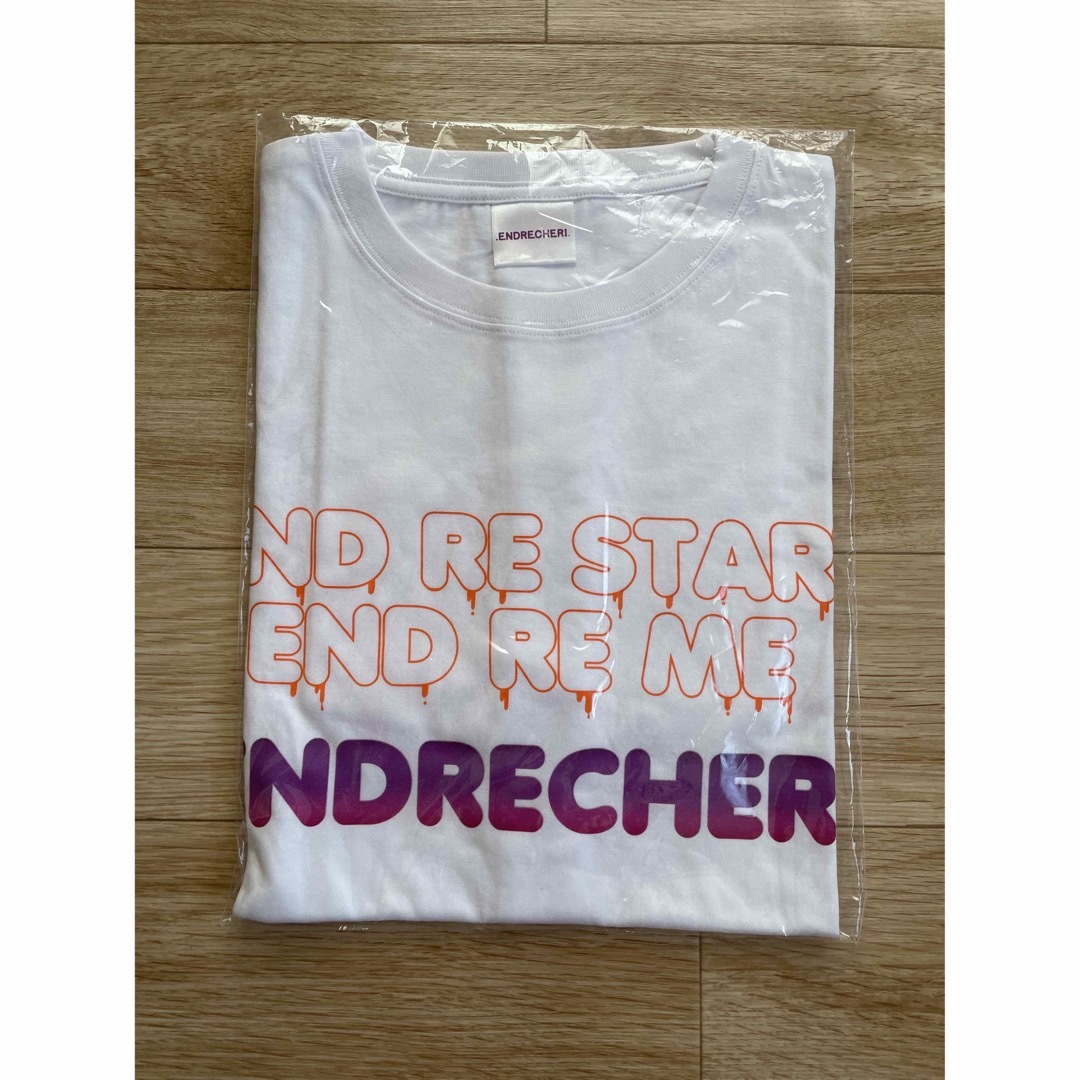 ENDRECHERI エンドリケリー ツアーグッズTシャツ