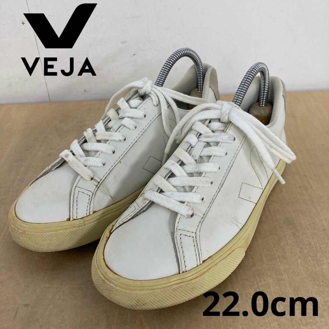 veja スニーカー　試し履き程度