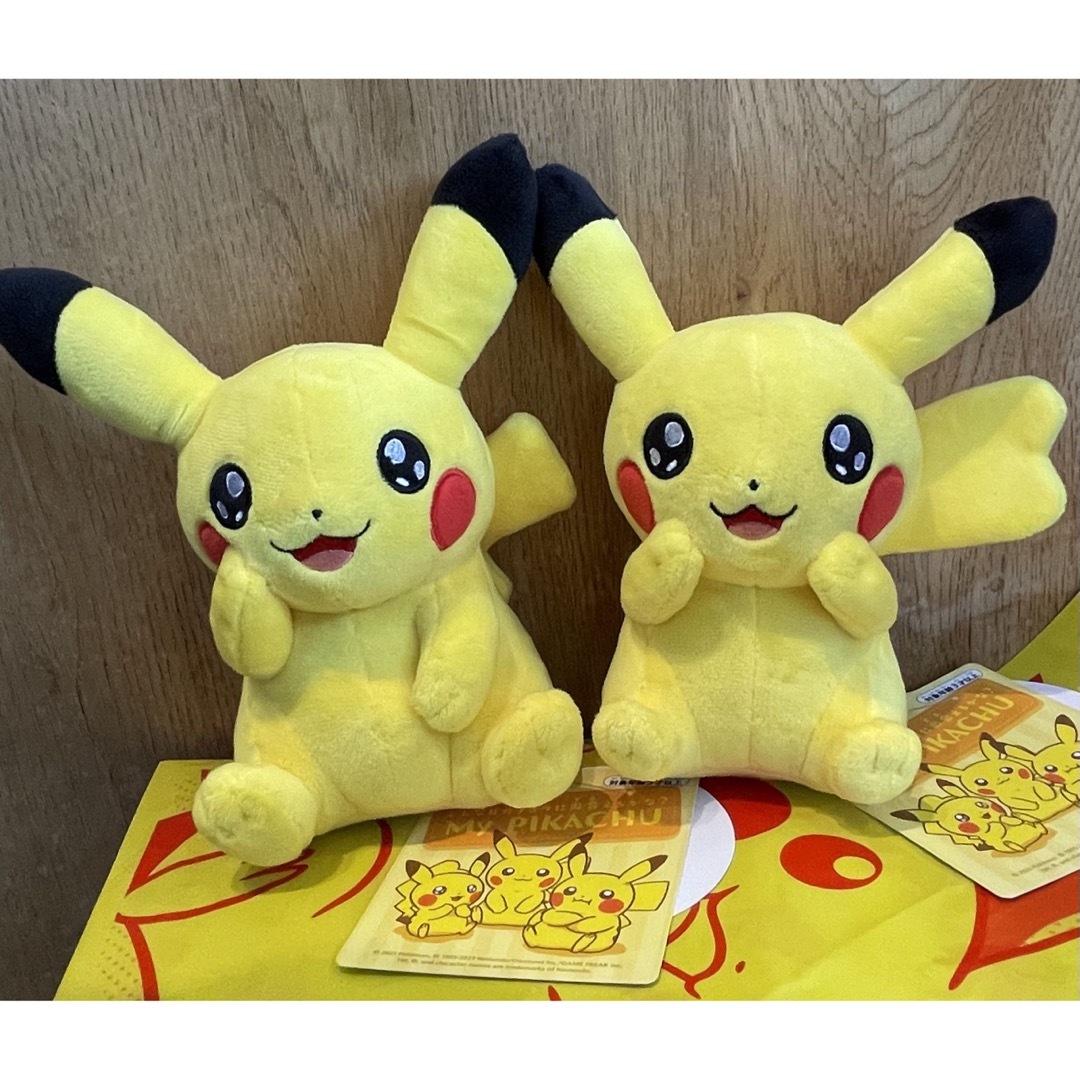 ポケモン - マイピカチュウ お目目キラキラ ♂♀セット♡ の通販 by